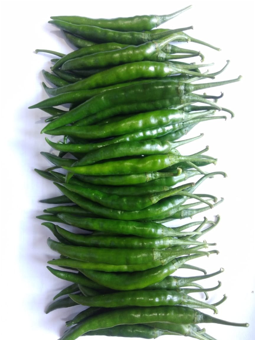 Chilli Vegetable Seeds