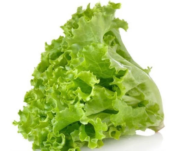 Lettuce- Australian Yellow Leaf