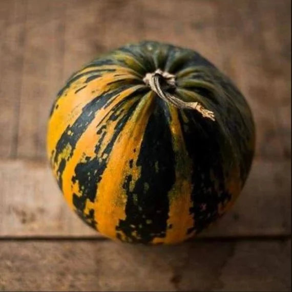 Kakai – Organic Pumpkin Seed