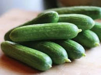 Heirloom Cucumber School Baby F1 Seeds or Cucumis sativus, Organic Vegetable Seeds for Planting
