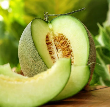 Eden’s Gem – Organic Melon Seed