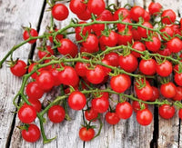 Heirloom Red Currant Tomatoes Seeds for Planting - Non-GMO Garden Seeds