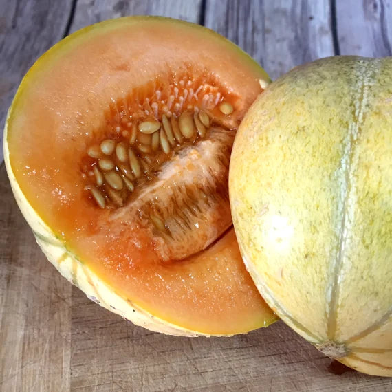 D’Artagnan – Melon Seed