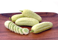 Salt and Pepper – Organic Cucumber Seed