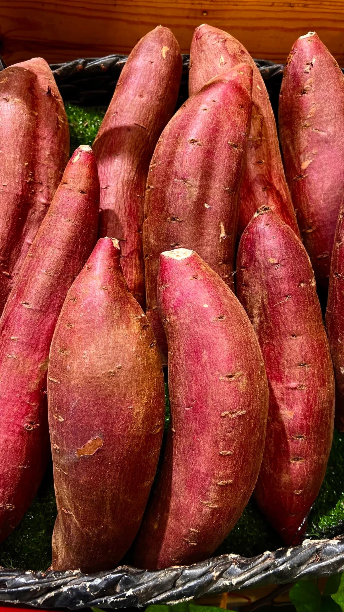 Murasaki – Organic Sweet Potato Seeds