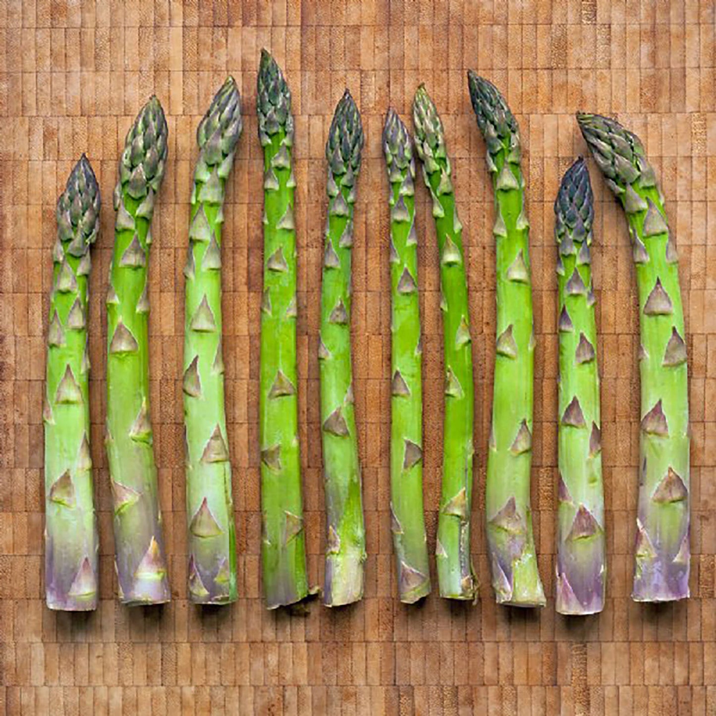 Jersey Supreme – Asparagus Seed