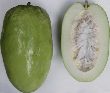 Giant Passiflora Granadilla Fruit Seeds for Planting - Cultivate an Unusual and Sweet Fruit