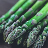 Asparagus- Mary Washington (Crown)