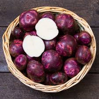 Purple Viking – Organic Seed Potatoes