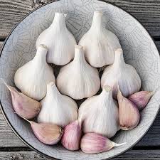 Music – Organic Garlic Bulbs