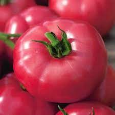 Heirloom Tomato Big Pink F1 Tomato Seeds for Planting - Non-GMO Garden Seeds