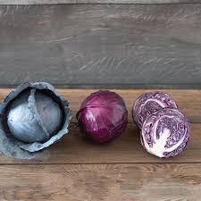 Primero – Organic Cabbage Seed