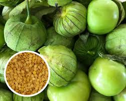 Pancho – Tomatillo Seed