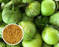 Pancho – Tomatillo Seed