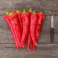 Carmen – Organic Corno di Toro Pepper Seed