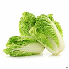 Haku – Chinese Cabbage Seed