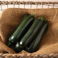 Maveric – Zucchini Squash Seed
