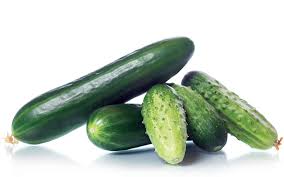 Olympian – Treated Cucumber Seed