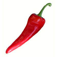 Cornito Rosso – Organic Corno di Toro Pepper Seed