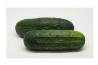 Olympian – Treated Cucumber Seed