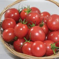 Sunpeach – Tomato Seed