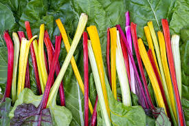 Silverbeet- Rainbow Chard