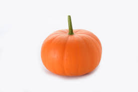 Baby Bear Almond Pumpkin Cucurbita pepo for planting in home garden