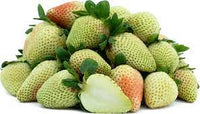 Light green strawberry Fragaria vesca seeds for berry patch
