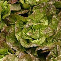 Lettuce- Mignonette Brown