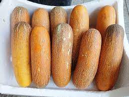 Orange Cucumber Seeds Fresh Crisp Vegetable Fruit Seed