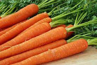 Carrot Mohan Chantenay Nantes Vegetable Seeds