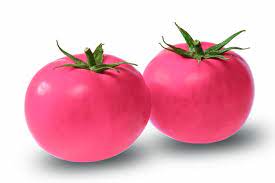 Light Pink Tomato Solanum lycopersicum seeds for garden planting