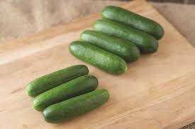 Qwerty – Cucumber Seed