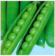 Strike – Treated Pea Seed