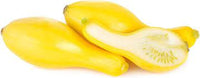 Crookneck Yellow Squash Vegetable Seeds for Planting - heirloom & Non-GMO Garden Seeds