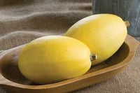 Pinnacle – Spaghetti Squash Seed
