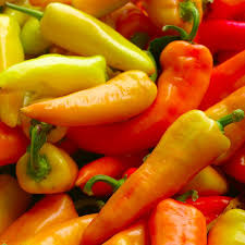 Sweet Pepper Hungarian Vegetable Seeds