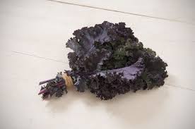 Frise Rouge – Organic Kale Seed