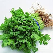 Japanese Small Parsley Seeds Organic Vegetable Seeds