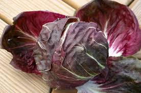 Indigo Hybrid Radicchio Seeds