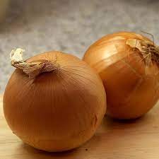 Onion- Yellow Spanish