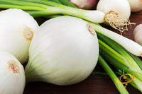 Onion- Early White Spanish