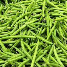 Jade – Organic Bean Seed