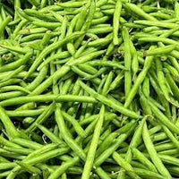 Jade – Organic Bean Seed