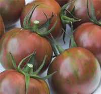 Purple Bumble Bee – Organic Tomato Seed