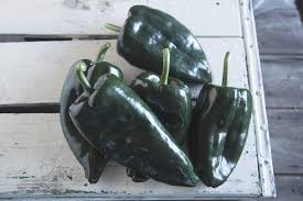 Baron – Ancho Pepper Seed