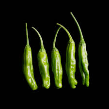 Shishimai – Shishito Pepper Seed