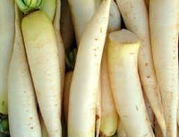 Miyashige – Radish Seed