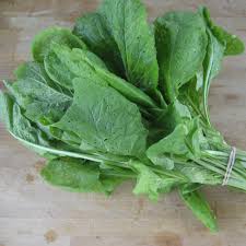 Mustard Greens- Tender Green