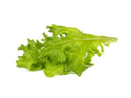 Lettuce- Oakleaf Green